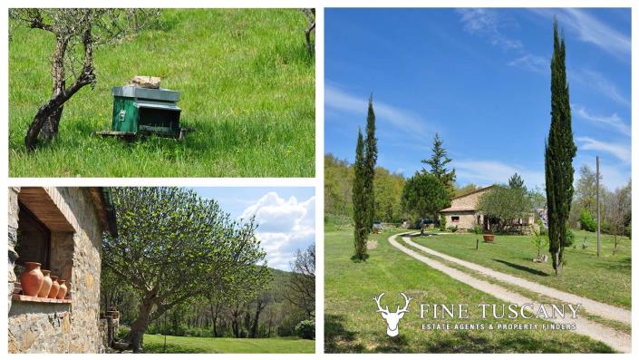 Image No.16-4 Bed Country Property for sale