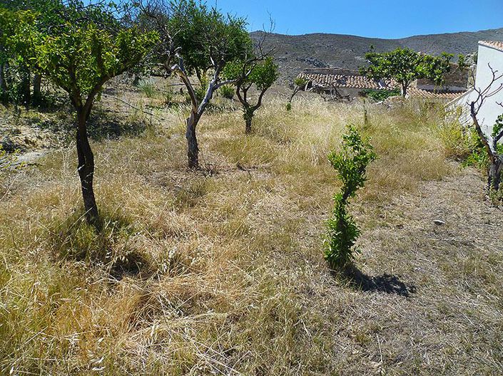 Image No.35-5 Bed Cortijo for sale