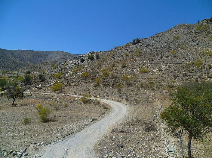 Image No.44-5 Bed Cortijo for sale