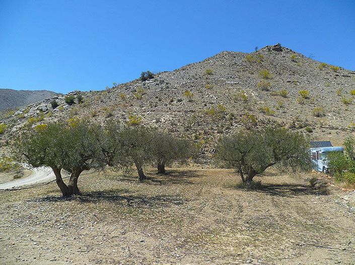 Image No.45-5 Bed Cortijo for sale