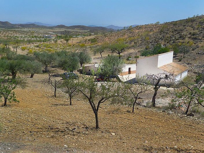 Image No.46-5 Bed Cortijo for sale