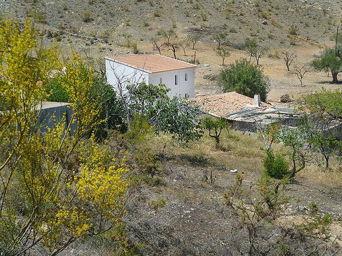 Image No.6-5 Bed Cortijo for sale