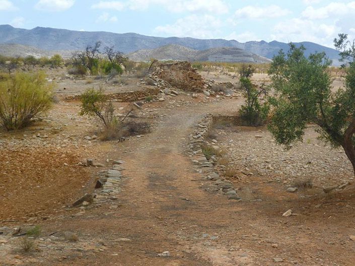 Image No.7-4 Bed Cortijo for sale