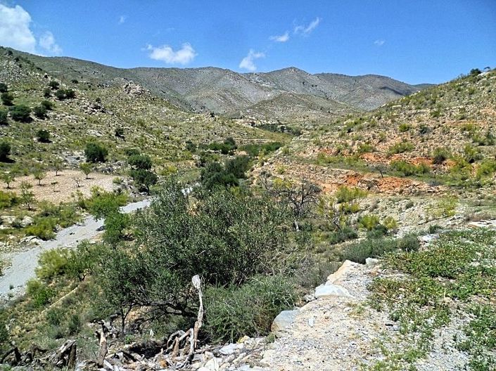 Image No.15-Cortijo for sale