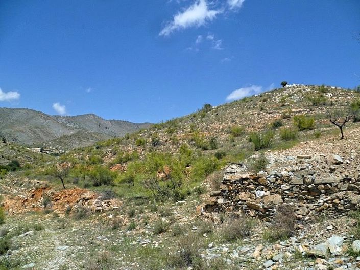 Image No.17-Cortijo for sale