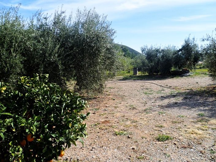 Image No.4-Land for sale