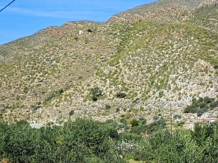 Image No.6-Land for sale