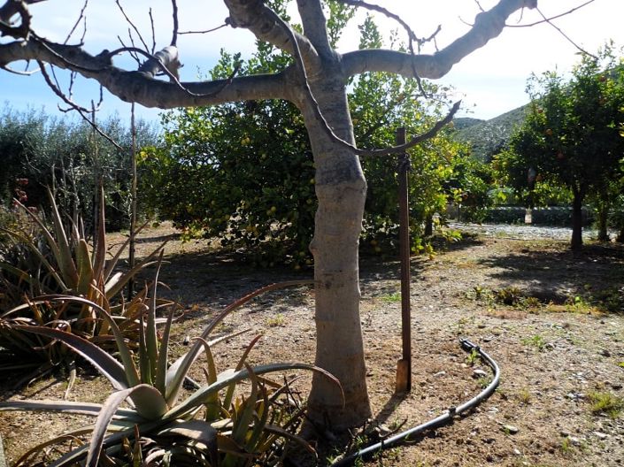 Image No.4-Land for sale