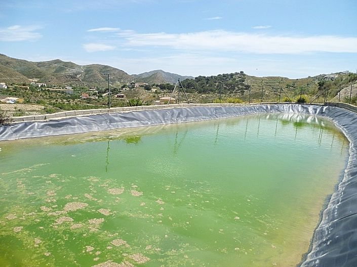 Image No.15-2 Bed Cortijo for sale