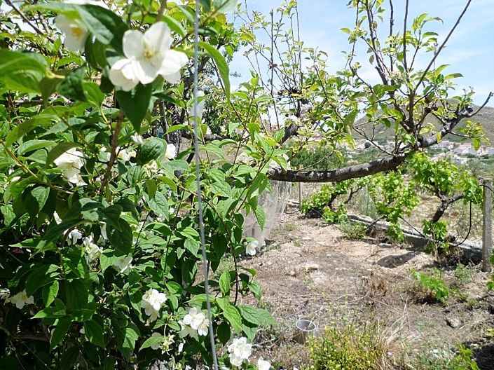 Image No.16-2 Bed Cortijo for sale