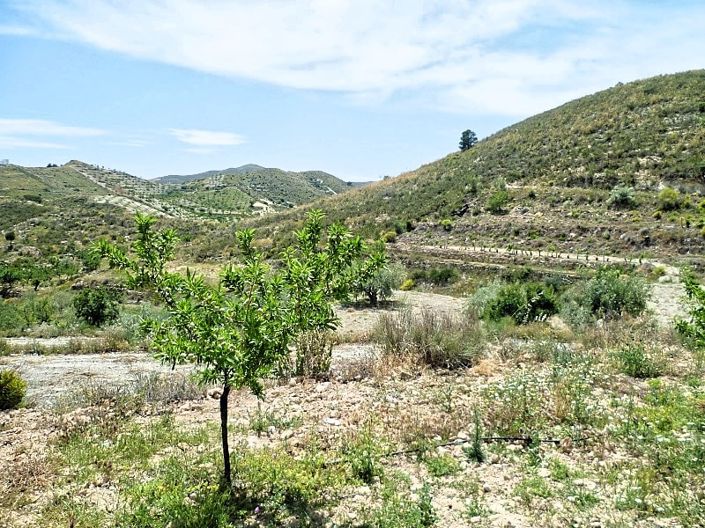 Image No.22-2 Bed Cortijo for sale