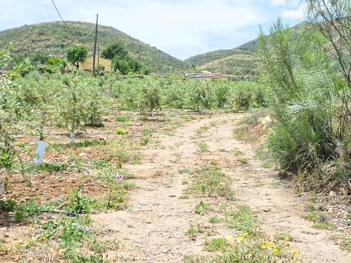 Image No.23-2 Bed Cortijo for sale