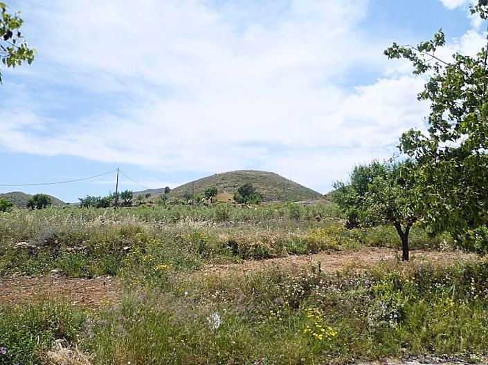 Image No.25-2 Bed Cortijo for sale