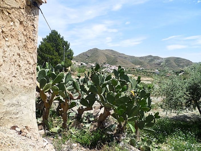 Image No.6-2 Bed Cortijo for sale