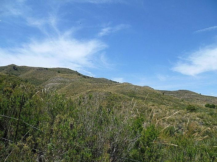 Image No.7-2 Bed Cortijo for sale