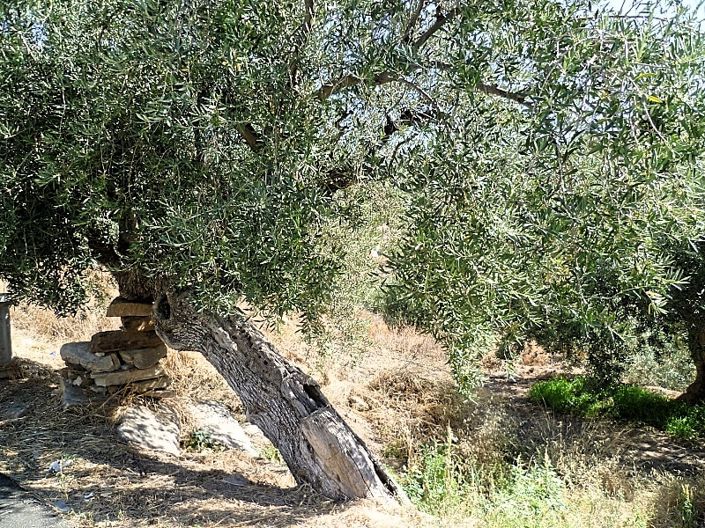 Image No.27-6 Bed Townhouse for sale