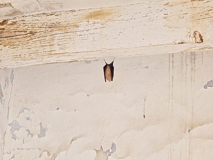 Image No.15-3 Bed Country House for sale