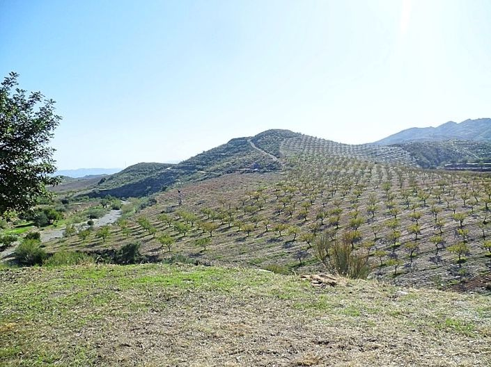 Image No.23-4 Bed Cortijo for sale