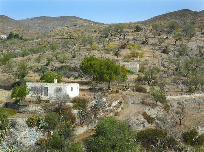 Image No.3-3 Bed Cortijo for sale
