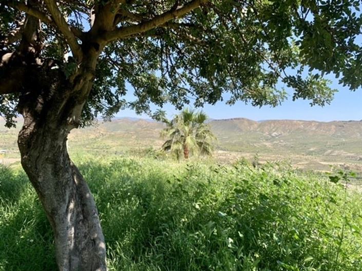 Image No.55-Villa de 5 chambres à vendre à Lucainena de las Torres