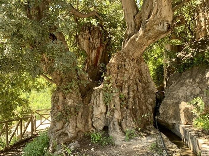 Image No.56-Villa de 5 chambres à vendre à Lucainena de las Torres