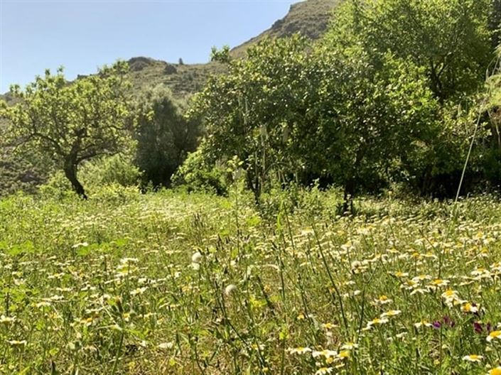 Image No.58-Villa de 5 chambres à vendre à Lucainena de las Torres