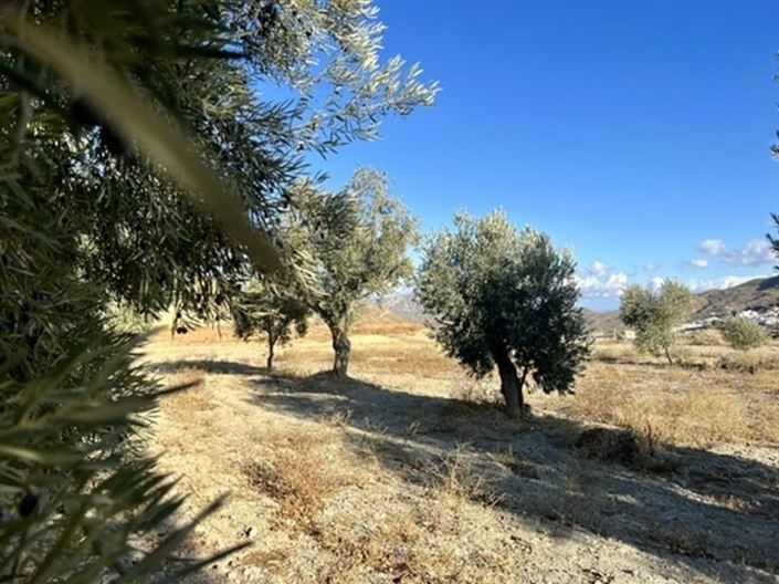 Image No.24-6 Bed Country House for sale