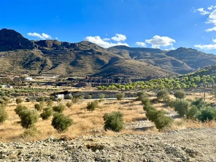 Image No.40-6 Bed Country House for sale