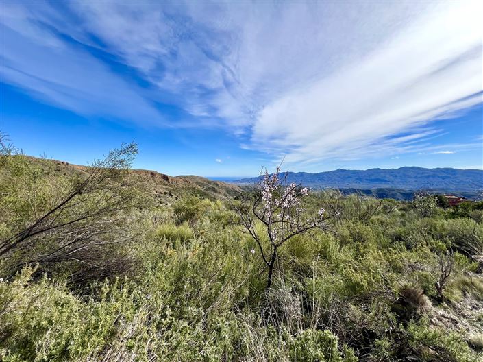 Image No.10-Land for sale