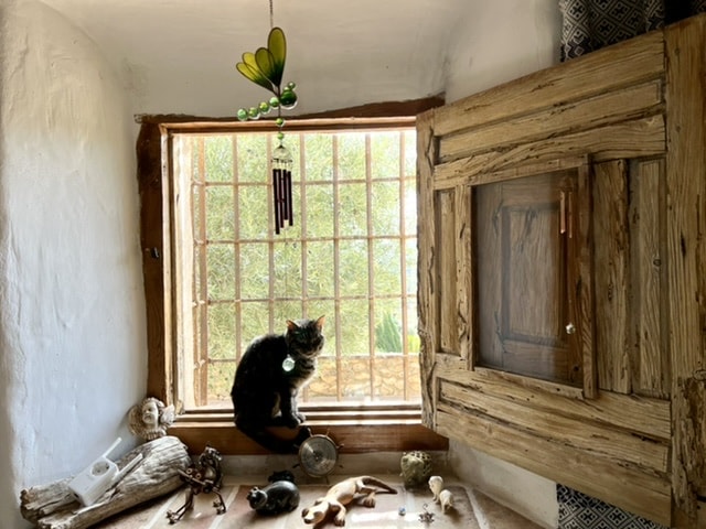 Image No.28-7 Bed Cortijo for sale