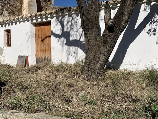 Image No.5-3 Bed Cortijo for sale