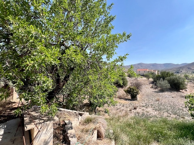 Image No.4-6 Bed Country House for sale