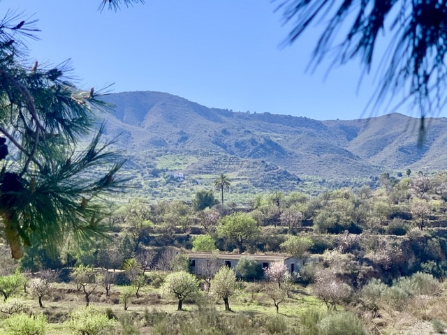 Image No.35-Maison de village de 7 chambres à vendre à Lubrín