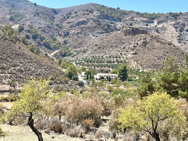 Image No.3-6 Bed House for sale