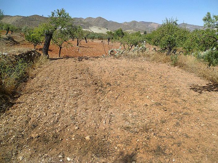 Image No.33-5 Bed Country House for sale