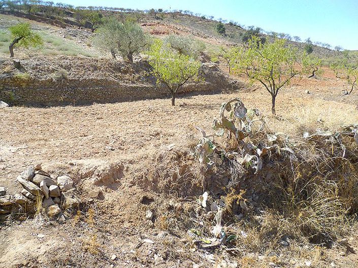 Image No.34-5 Bed Country House for sale