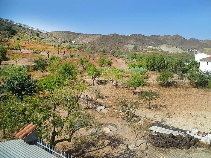 Image No.6-5 Bed Country House for sale