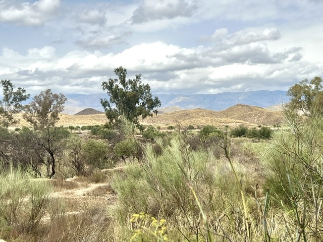 Image No.4-3 Bed Cortijo for sale