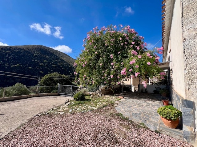 Image No.4-3 Bed Country House for sale