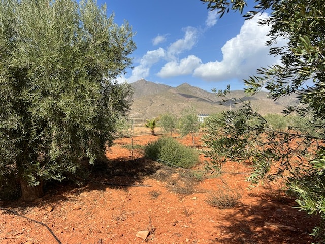 Image No.14-3 Bed Country House for sale