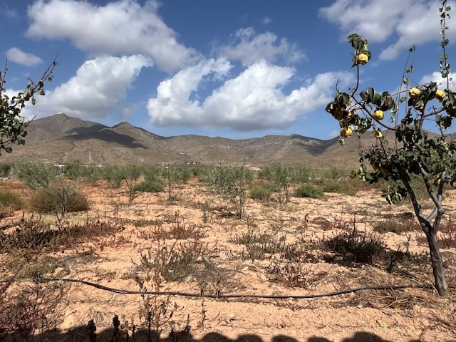 Image No.15-3 Bed Country House for sale