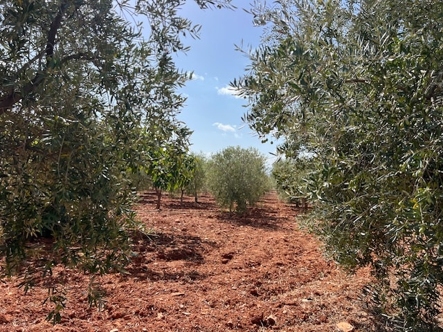 Image No.2-3 Bed Country House for sale