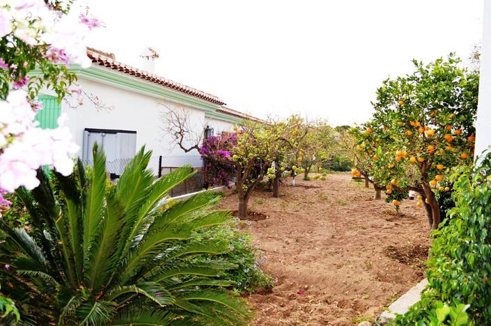 Image No.6-5 Bed Villa for sale