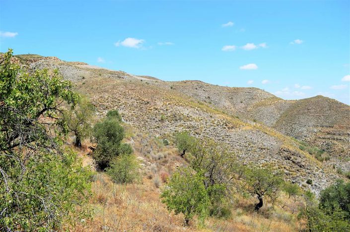 Image No.9-Land for sale