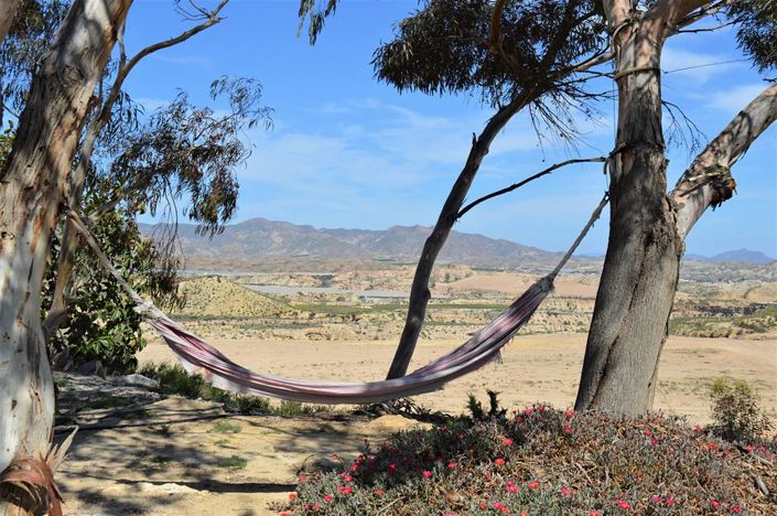 Image No.5-6 Bed Cortijo for sale