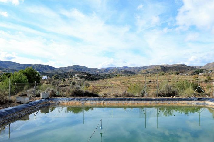 Image No.16-4 Bed Cortijo for sale