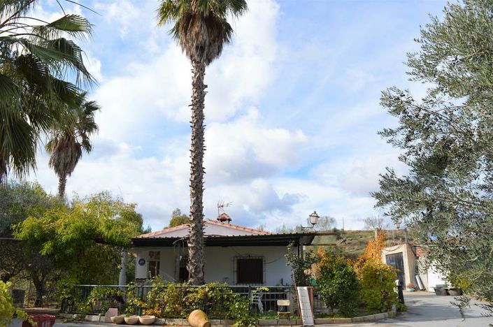 Image No.4-4 Bed Cortijo for sale