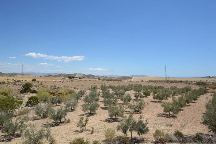 Image No.12-7 Bed Cortijo for sale