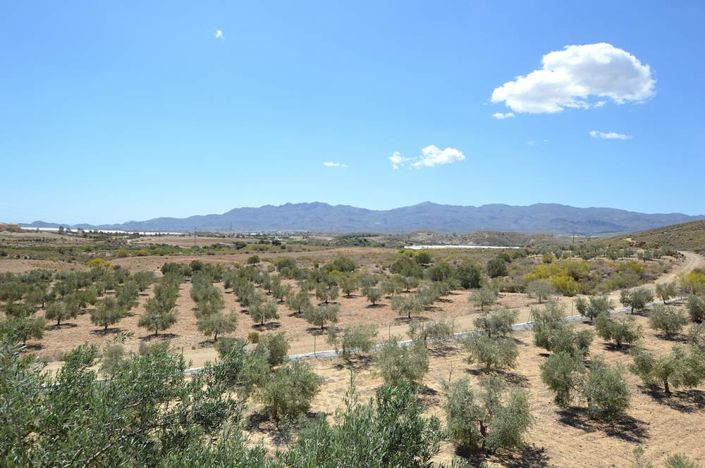 Image No.13-7 Bed Cortijo for sale