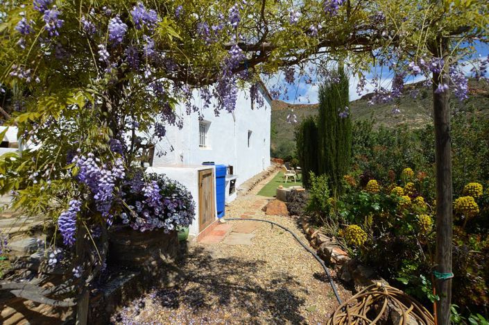 Image No.8-3 Bed Cortijo for sale